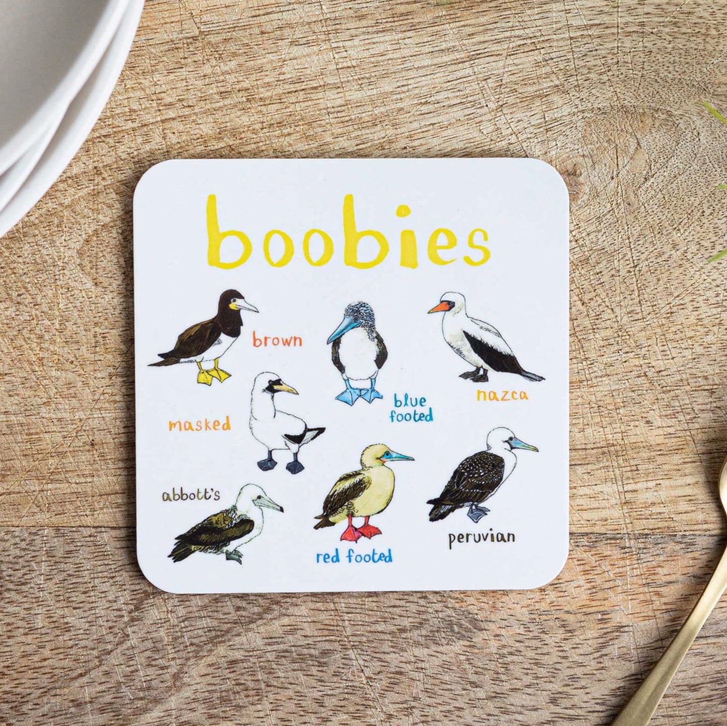Sarah Edmonds Boobies Coaster