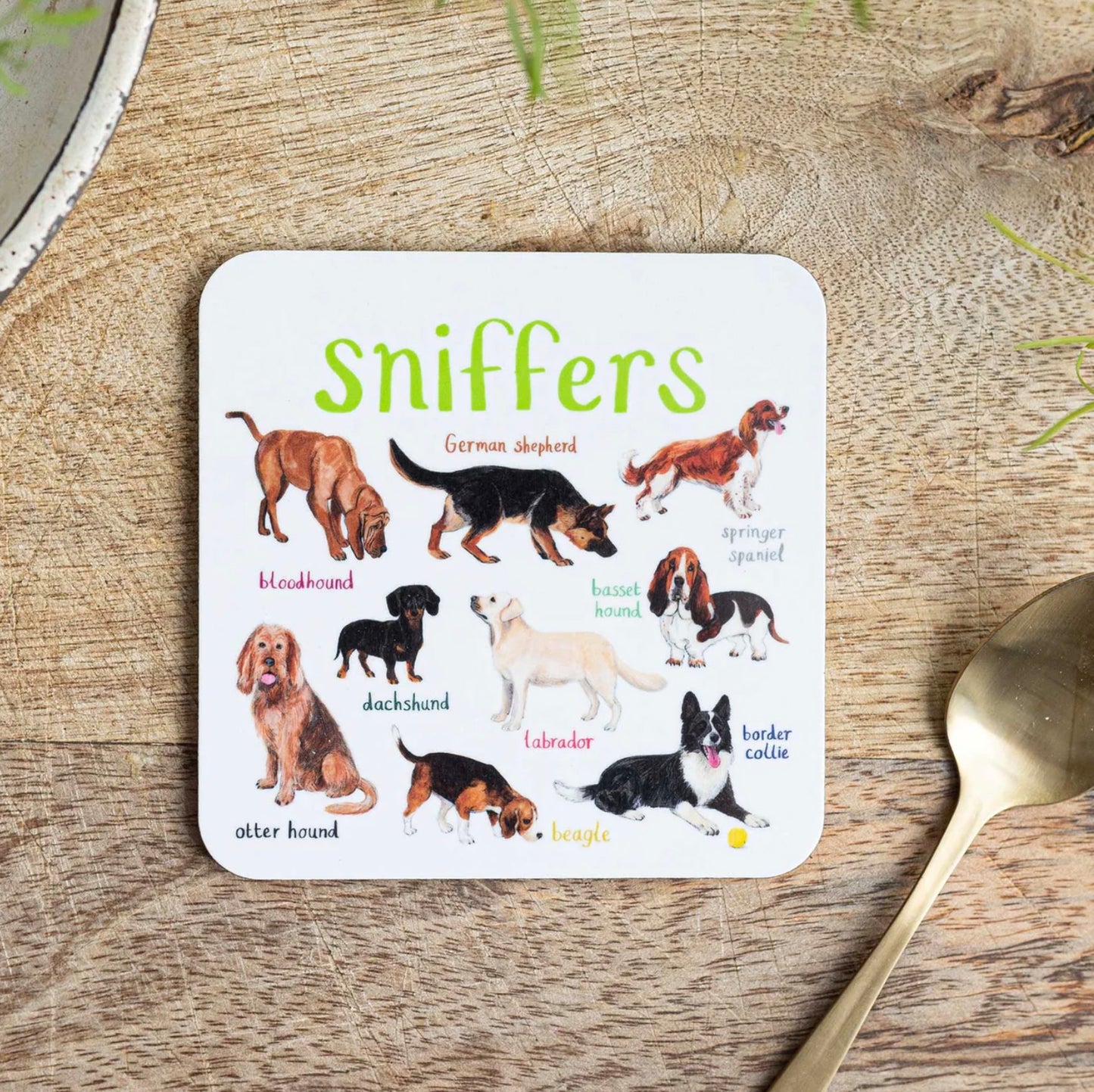 Sarah Edmonds Sniffers Coaster
