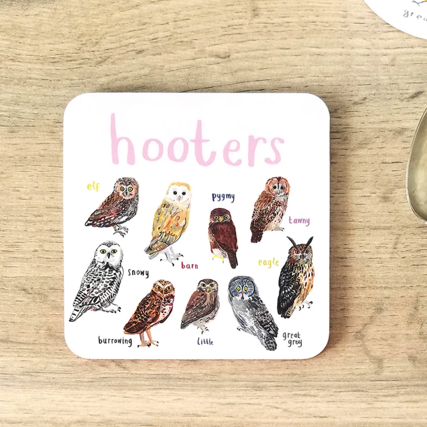 Sarah Edmonds Hooters Coaster