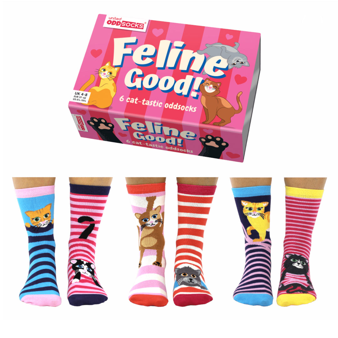 Odd Socks Feline Good Gift Set