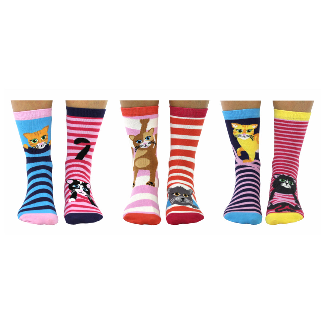 Odd Socks Feline Good Gift Set