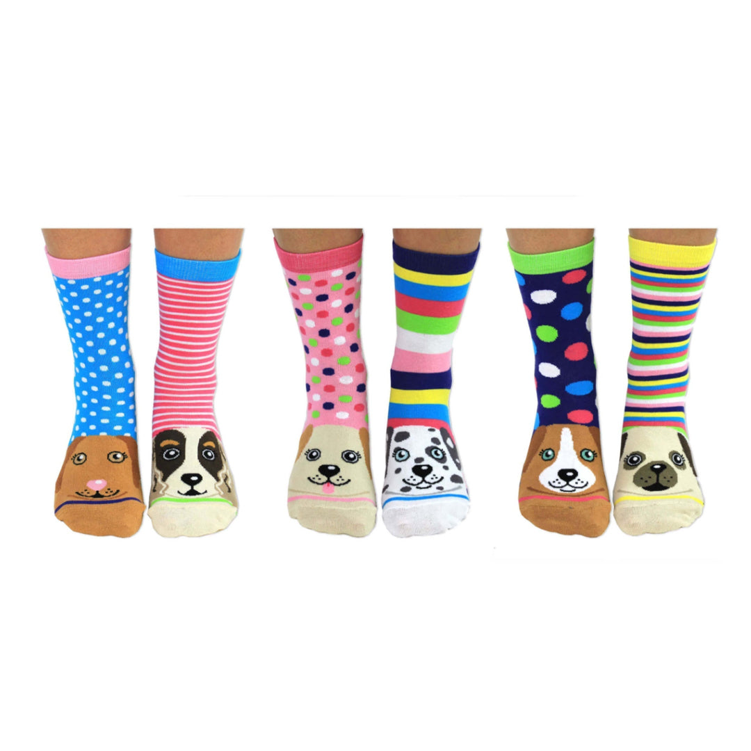 Odd Socks Pawsome Gift Set