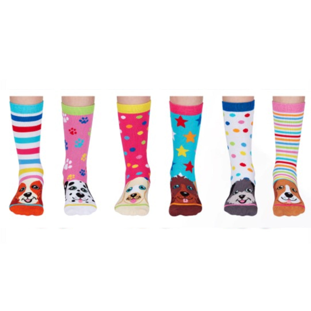 Odd Socks Pup Stars Gift Set